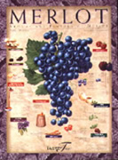 Merlot Wine Chart