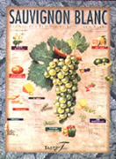 Sauvignon Blanc Wine Chart