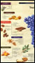 Page 1 of gatefold of Zinfandel taste map
